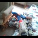 Shooting Your Sleeping Kid with a Super Soaker While Singing the Doom Theme Song Is a Really Effective Alarm Clock